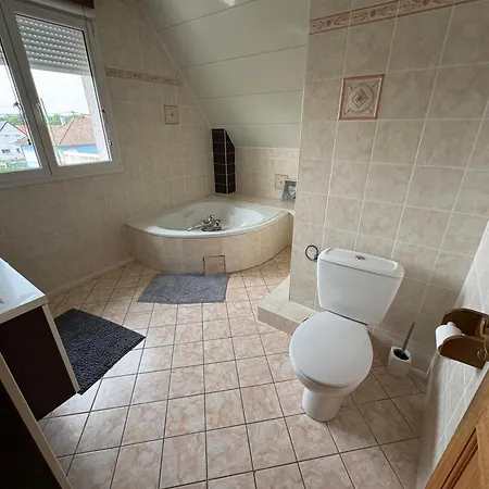 公寓 Superbe Maison F5 Terrasse Et Jardin, Au Calme A 15 Min De Colmar Et Mulhouse *