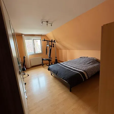 Superbe F5 Terrasse Et Jardin Staffelfelden