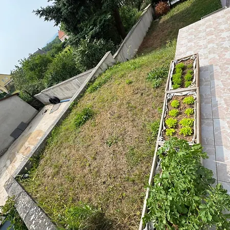 Superbe F5 Terrasse Et Jardin דירה Staffelfelden