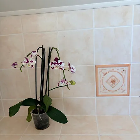 Superbe Maison F5 Terrasse Et Jardin, Au Calme A 15 Min De Colmar Et Mulhouse Apartment Staffelfelden